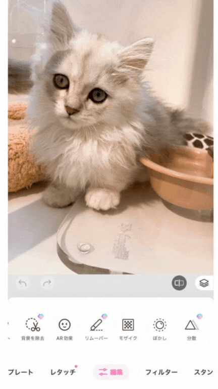 モザイク加工やぼかし加工ができるおすすめの無料写真加工アプリ10選