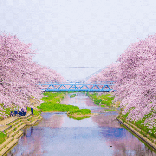 モザイク加工やぼかし加工ができるおすすめの無料写真加工アプリ10選