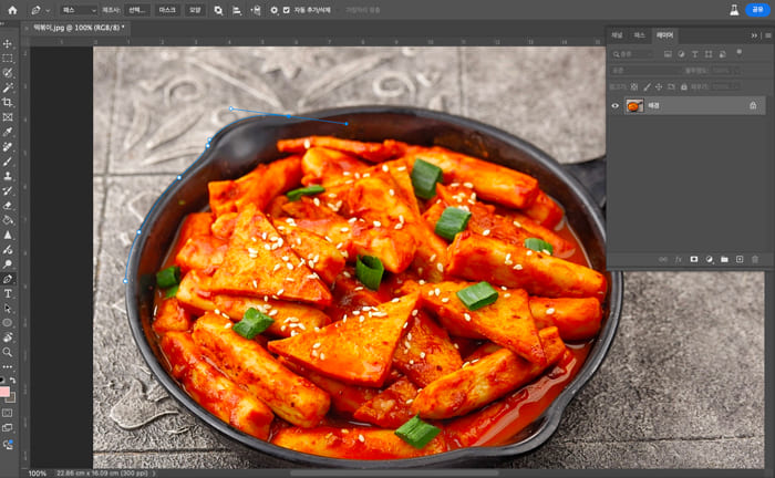 포토샵 대체-photoshop alternatives-5