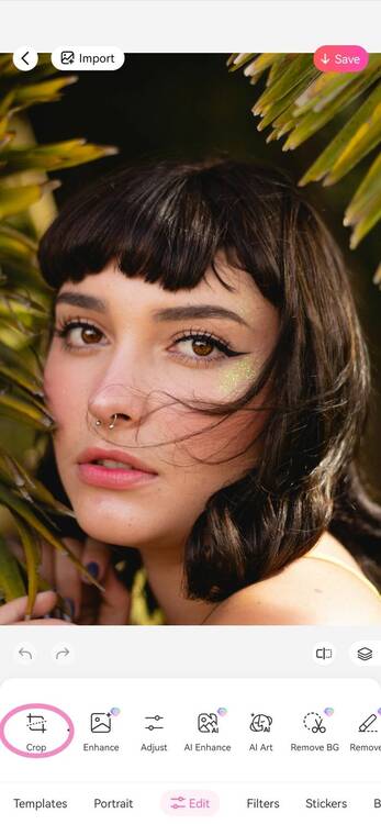 22-crop tool-resized