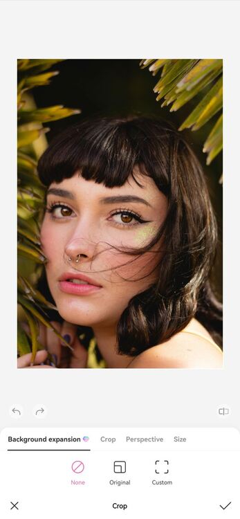 23-Background Expansion-resized