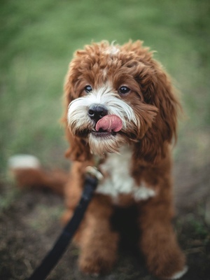 after-faws-crayon-beautyplus