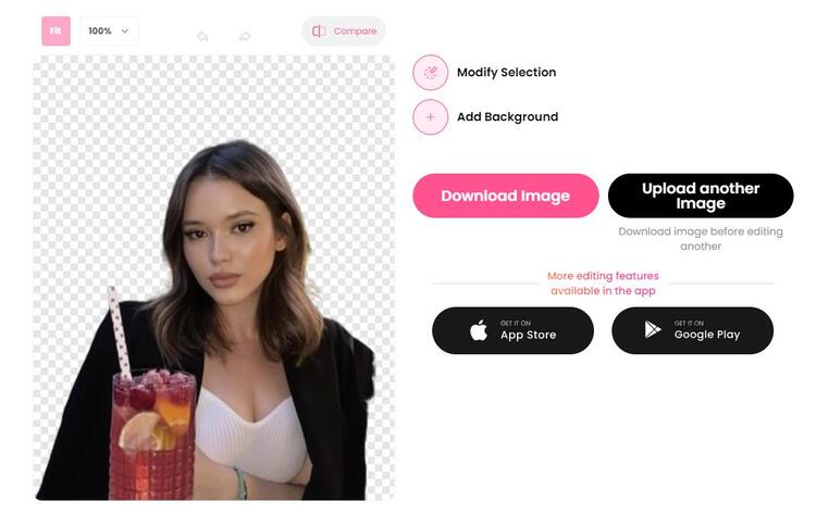 ai background remover-modify selection