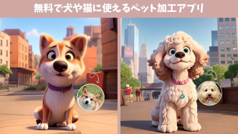 Free pet processing app that can be used for dogs and cats