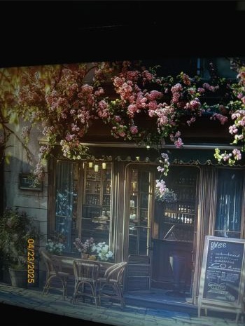 Best Vintage Filter to Create Old Photo Effect - CCD - After