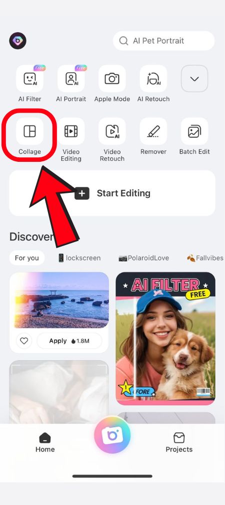 Combine Photos - BeautyPlus - 02