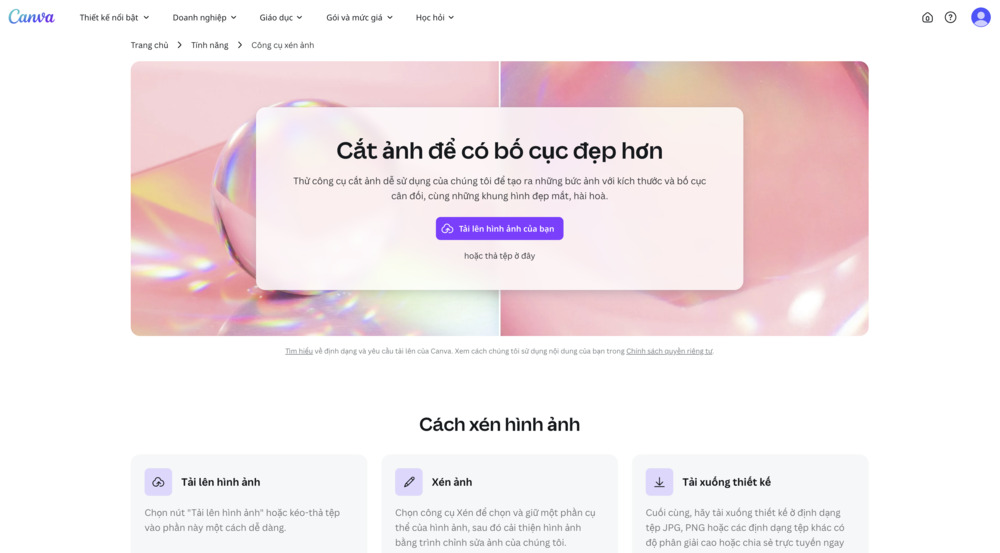 cắt ảnh thành hình tròn trên điện thoại-Canva web
