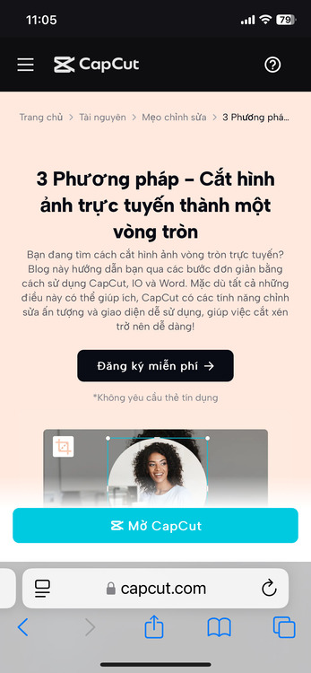 cắt ảnh thành hình tròn trên điện thoại-Capcut web