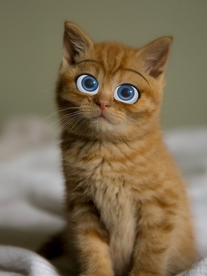 disney-pixar-filter-3D filter-cat-after