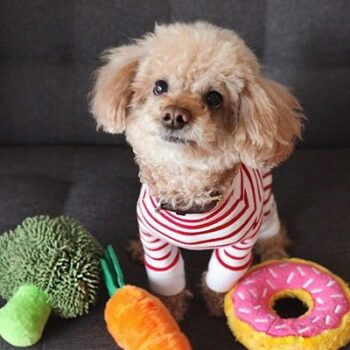 disney-pixar-filter-3D filter-dog-template-before