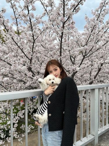 Before AI converts it into pixel art