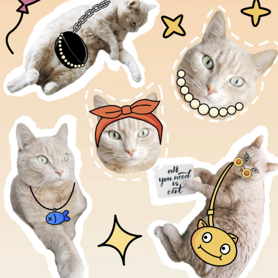 alt.removeBG.makeStickers