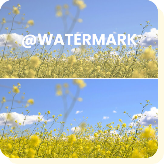 BeautyPlus magic eraser remove object from photo