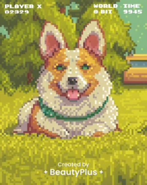 minecraft pixel art generator - Animals to pixel art- After