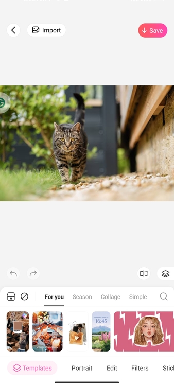Using BeautyPlus to Add Grainy Photo Filter 02