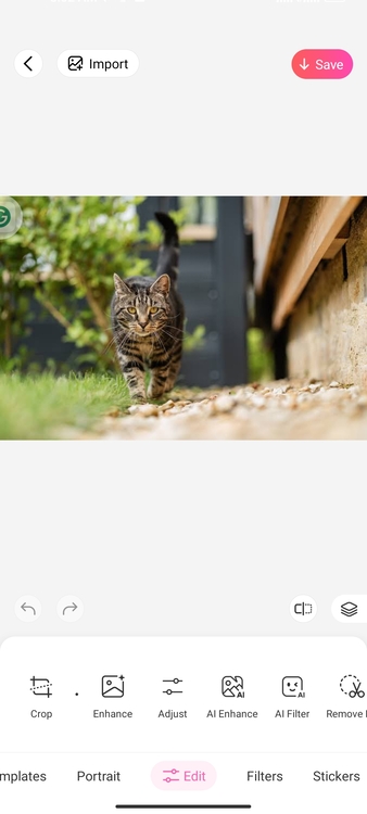 Using BeautyPlus to Add Grainy Photo Filter 03