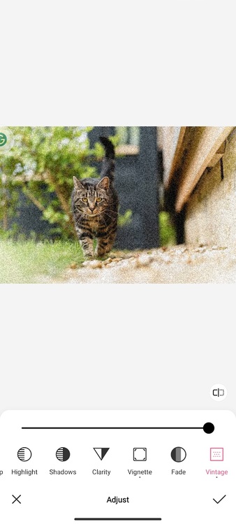 Using BeautyPlus to Add Grainy Photo Filter 04