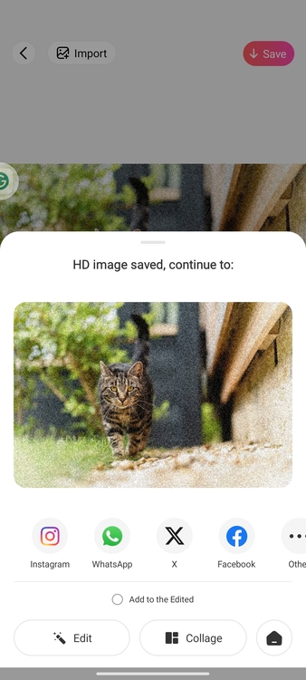 Using BeautyPlus to Add Grainy Photo Filter 05