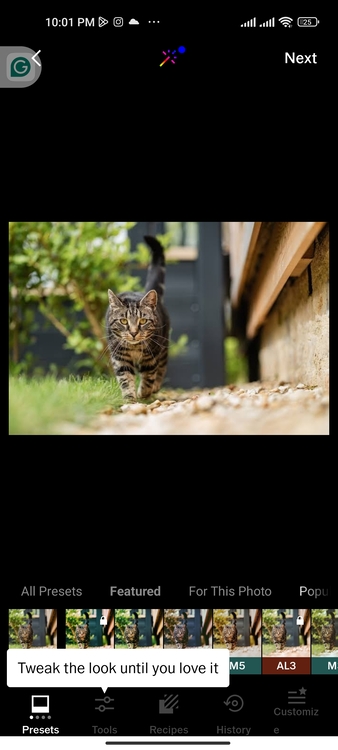 Add Grain to a Photo with the VSCO 02