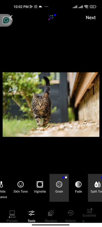 Add Grain to a Photo with the VSCO 03