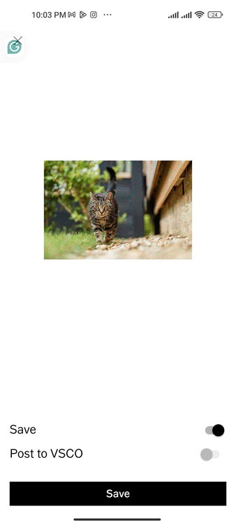 Add Grain to a Photo with the VSCO 05