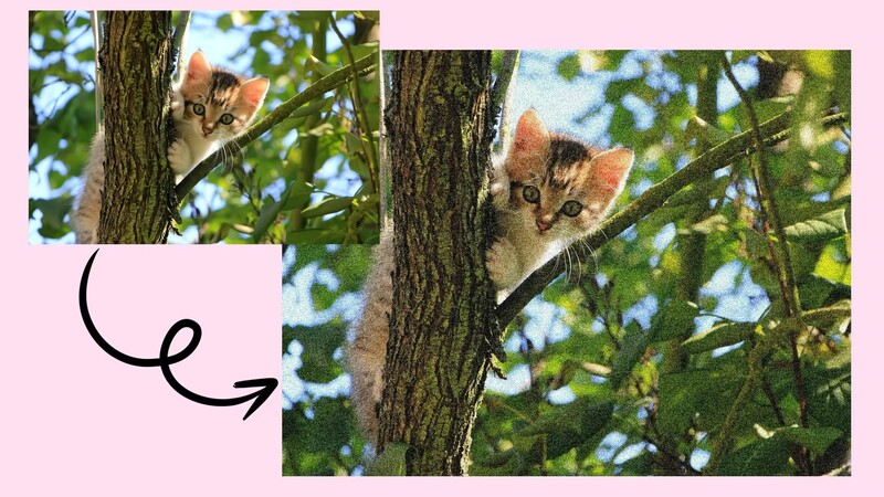 3 Best Ways to Add a Grain Filter to Photos Online