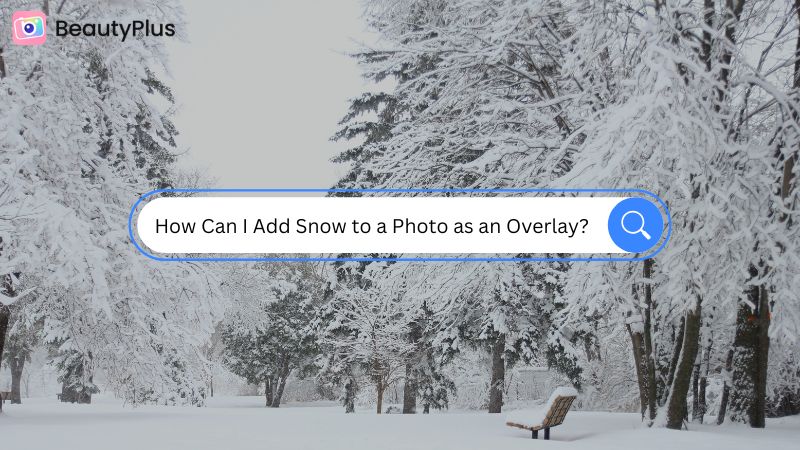 Snow Overlay: How Can I Add Snow to a Photo?