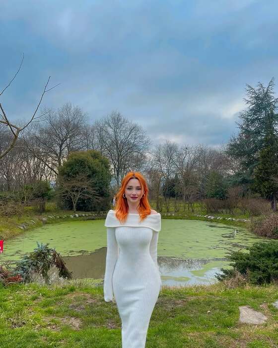 How To Add Sparkle To Photos - Xmas Tree Sparkles for Christmas-Before