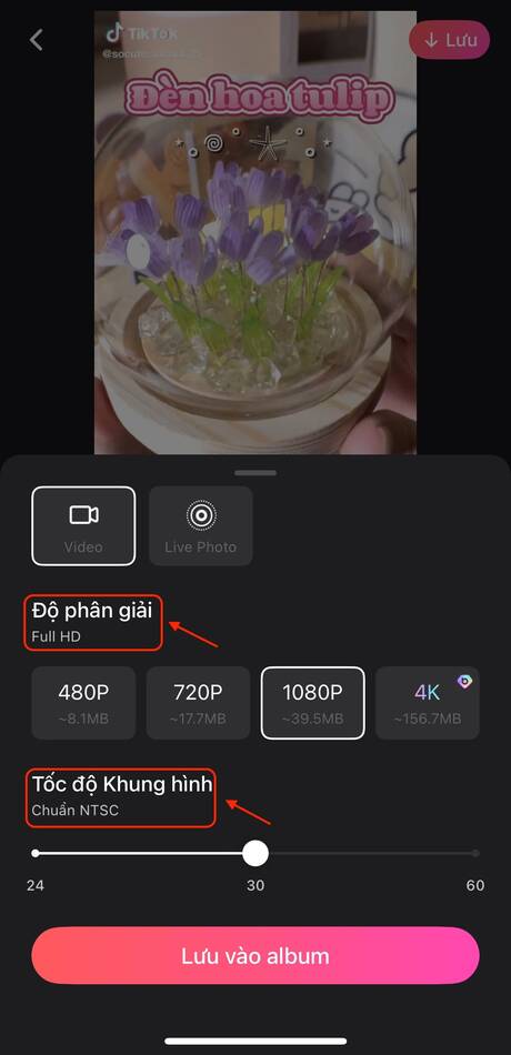 cách chèn chữ vào video-Xuất video trên BeautyPlus 02