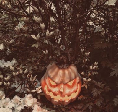 How to Make a Halloween PFP