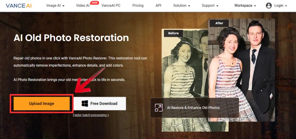 How To Restore Old Photos Using VanceAI - 02