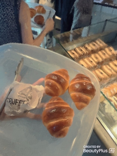 10 Recommended Camera Apps with Caricature Maker