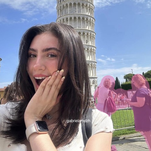 before using BeautyPlus AI Remover