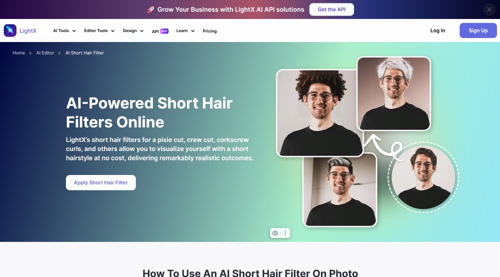 Lightxeditor Web Screenshot EN - short hair filter