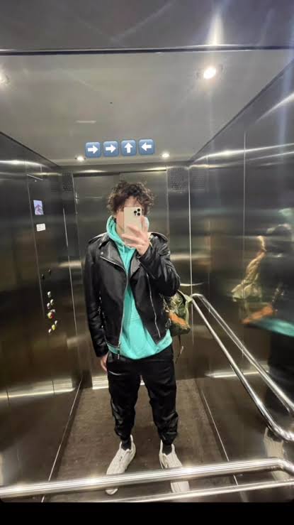 mirror selfie-timothee chalamet