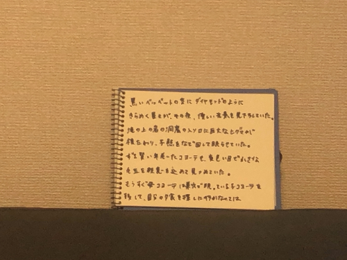 【拡大してもきれいかどうか】