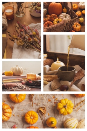 Use Photos Of Similar Kind