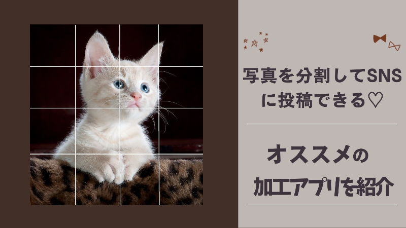 写真を簡単に分割できるおすすめアプリ5選。4分割や9分割にも対応