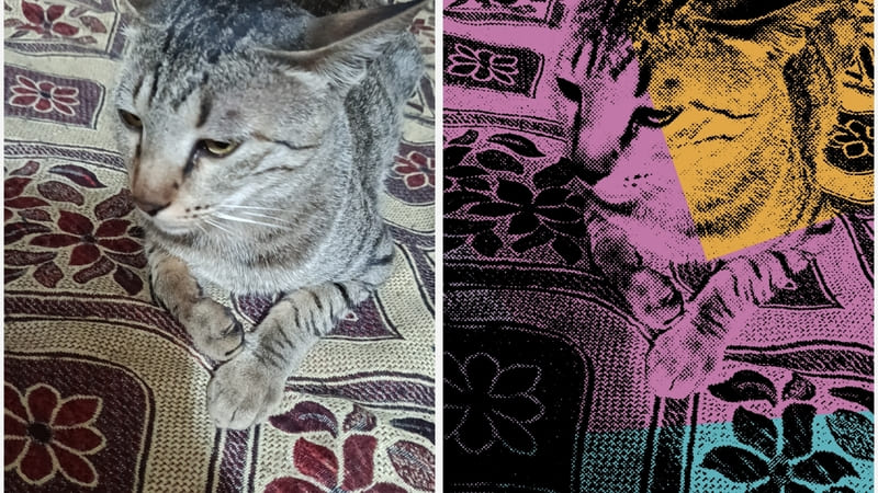 Best 3 Pop Art Generators: App & Free Online Filters