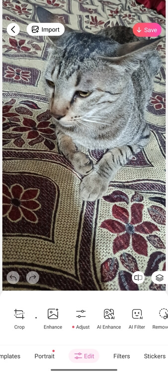 Pop art generator-edit menu-step 2