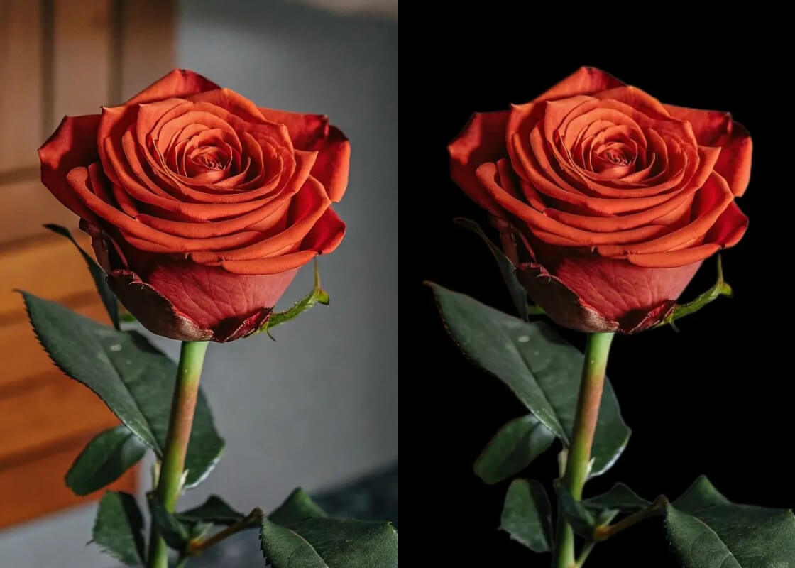 BeautyPlus Add Black Background to Photo