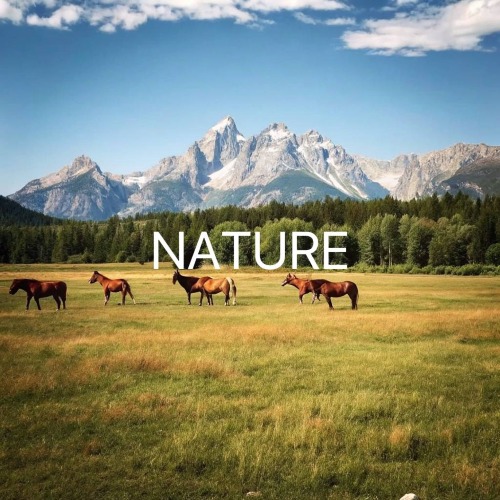 remove people from photos - landscape with horses and text before