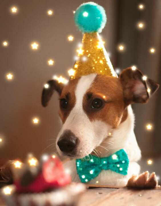 alt.AIArt.SparkleEffect