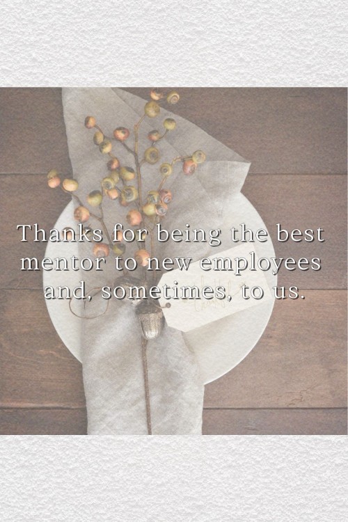 thanksgiving message-mentor