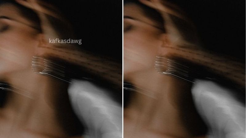 Top 8 Watermark Remover Apps to Clean Up Your Photos