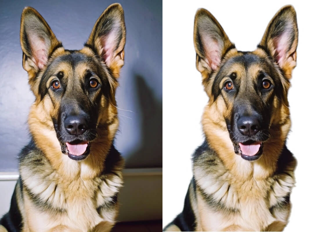 Add White Background to Photo