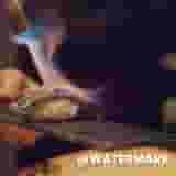 hapus watermark video online