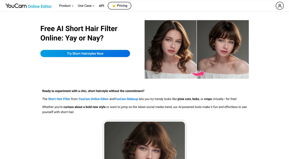 YouCam Web Screenshot EN - short hair filter