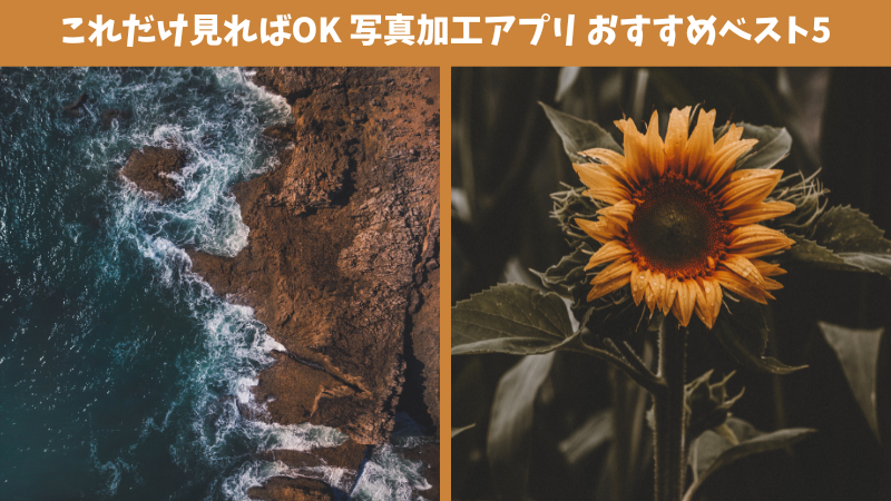 【無料】2024年最新人気の無料写真加工アプリおすすめベスト5選