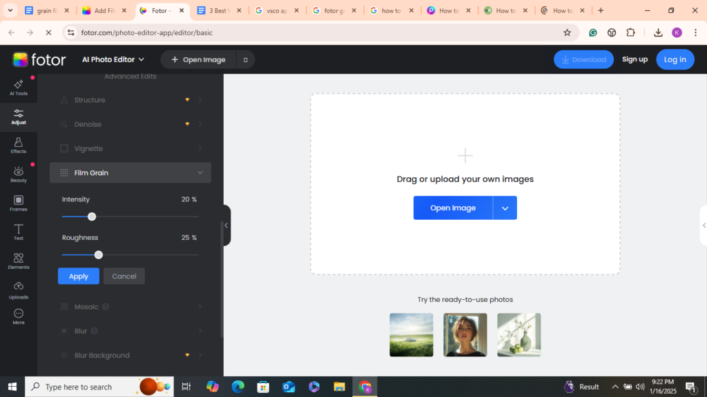 Add Grain to a Photo with Fotor 02